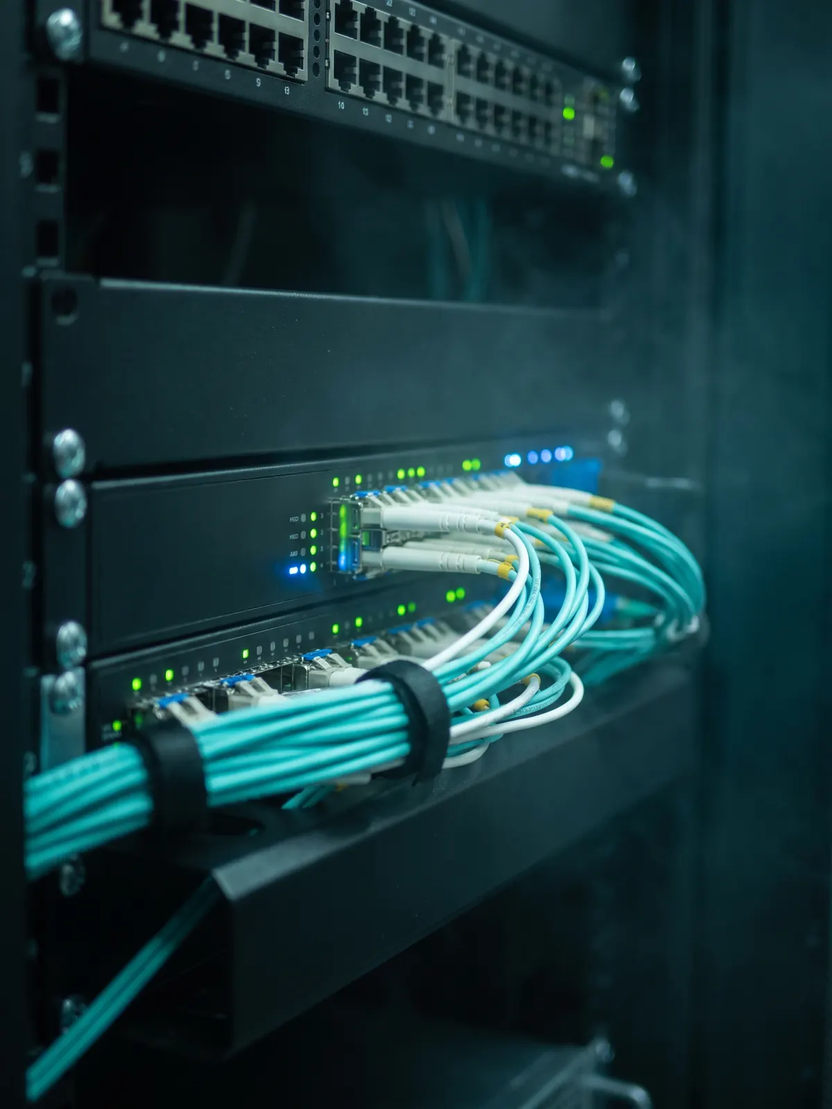 Fiber patch cables and status lights on a network switch — IT infrastructure